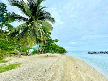 RealtourBoss Beachfront thumbnail